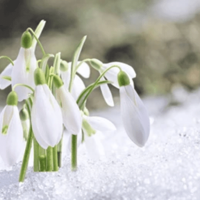 Februári ajurvéda (recepttel)